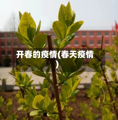 开春的疫情(春天疫情)