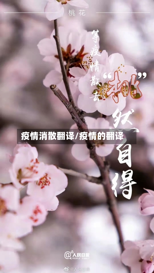 疫情消散翻译/疫情的翻译