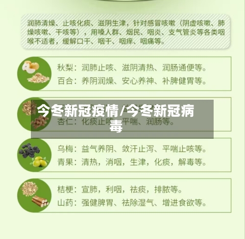 今冬新冠疫情/今冬新冠病毒