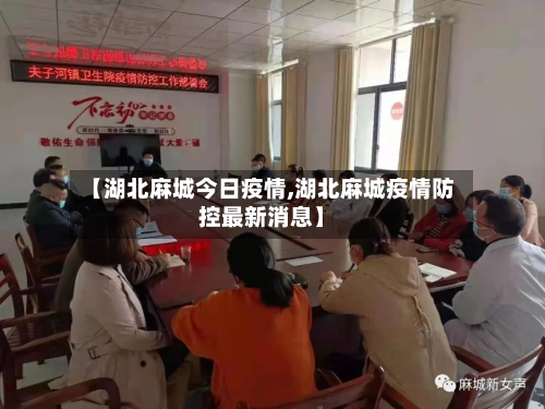 【湖北麻城今日疫情,湖北麻城疫情防控最新消息】-第2张图片