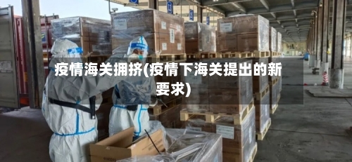 疫情海关拥挤(疫情下海关提出的新要求)-第2张图片