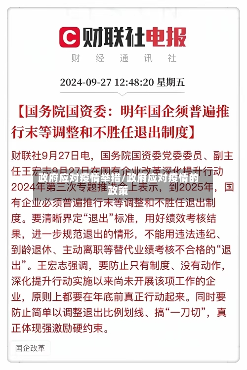 政府应对疫情举措/政府应对疫情的政策