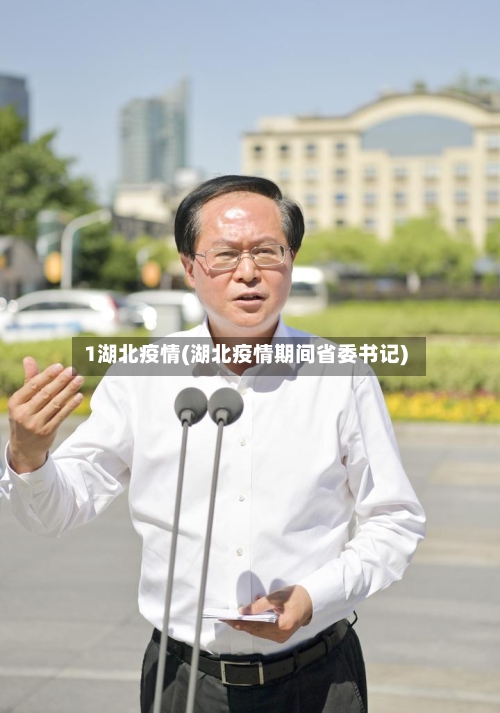 1湖北疫情(湖北疫情期间省委书记)