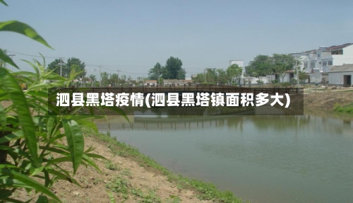 泗县黑塔疫情(泗县黑塔镇面积多大)