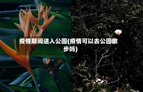 疫情期间进入公园(疫情可以去公园散步吗)