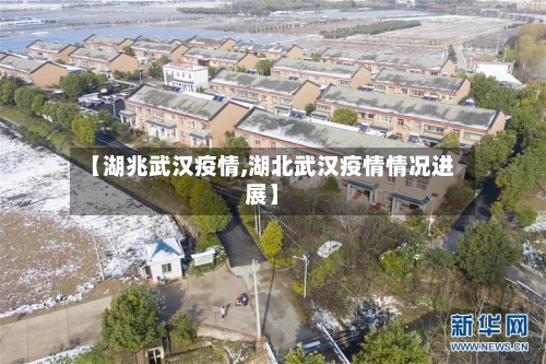 【湖兆武汉疫情,湖北武汉疫情情况进展】-第2张图片