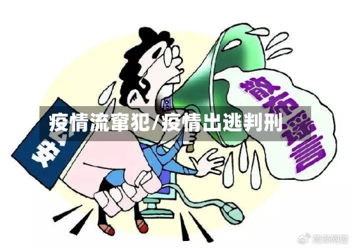 疫情流窜犯/疫情出逃判刑
