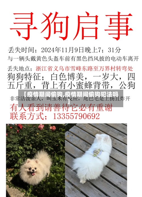 【疫情期间偷狗,疫情期间偷狗犯法吗】-第2张图片