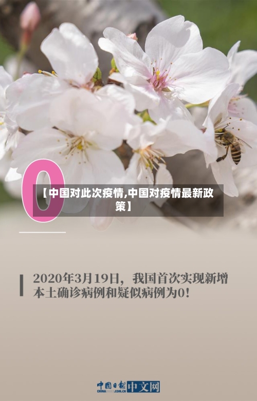 【中国对此次疫情,中国对疫情最新政策】-第3张图片
