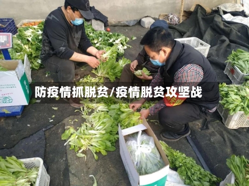 防疫情抓脱贫/疫情脱贫攻坚战