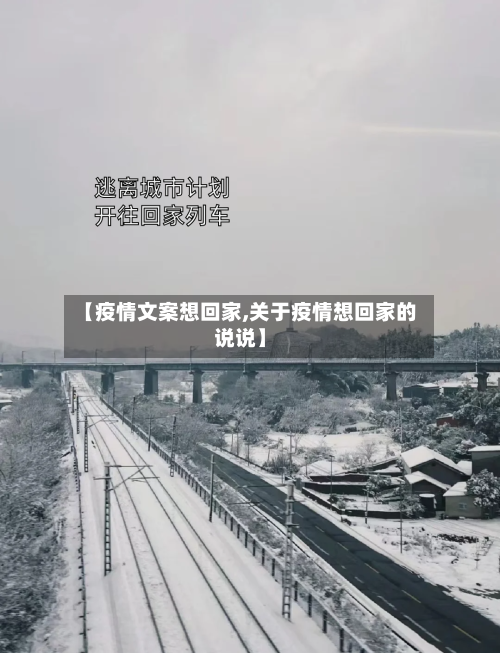 【疫情文案想回家,关于疫情想回家的说说】-第2张图片