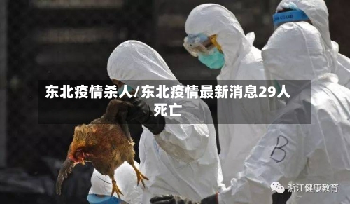 东北疫情杀人/东北疫情最新消息29人死亡-第3张图片