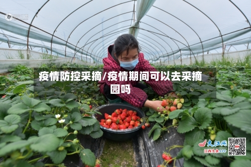 疫情防控采摘/疫情期间可以去采摘园吗