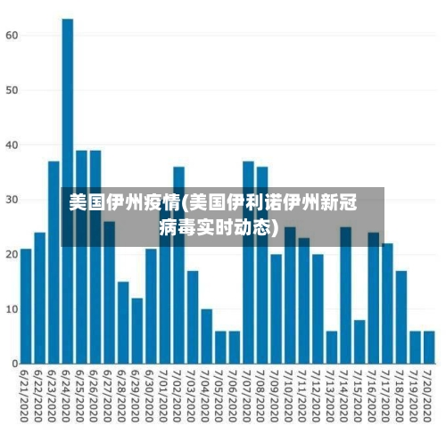 美国伊州疫情(美国伊利诺伊州新冠病毒实时动态)-第2张图片