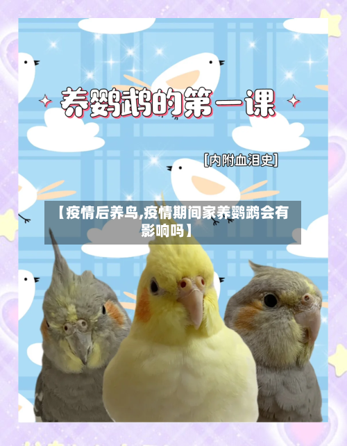 【疫情后养鸟,疫情期间家养鹦鹉会有影响吗】-第2张图片