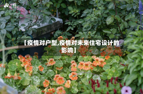 【疫情对户型,疫情对未来住宅设计的影响】