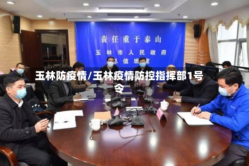 玉林防疫情/玉林疫情防控指挥部1号令-第3张图片