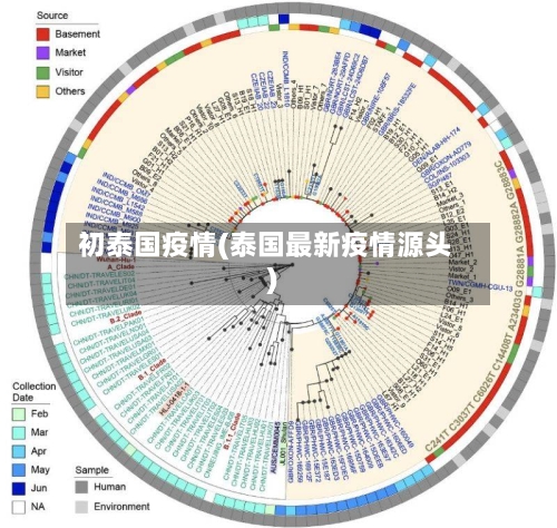 初泰国疫情(泰国最新疫情源头)-第3张图片