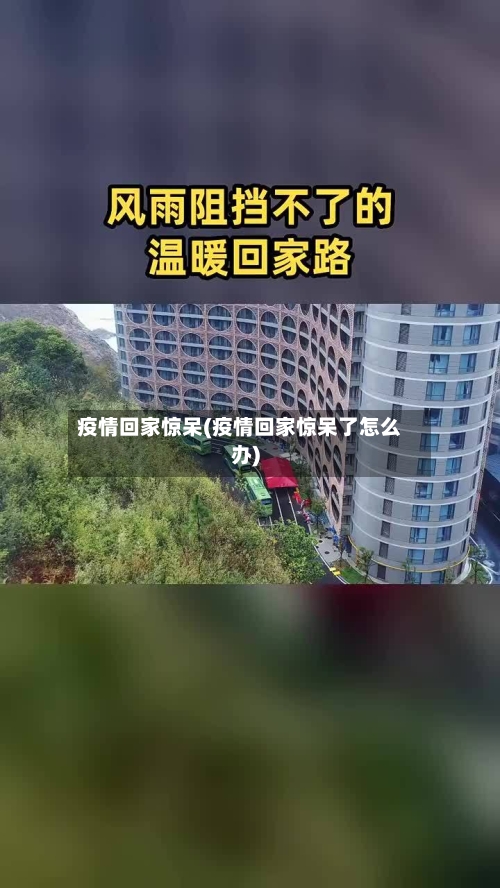疫情回家惊呆(疫情回家惊呆了怎么办)-第3张图片