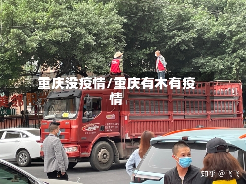 重庆没疫情/重庆有木有疫情-第2张图片