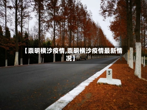 【崇明横沙疫情,崇明横沙疫情最新情况】-第2张图片