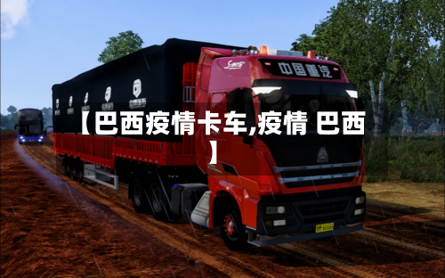 【巴西疫情卡车,疫情 巴西】