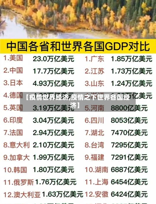 【疫情世界经济,疫情之下世界各国经济】