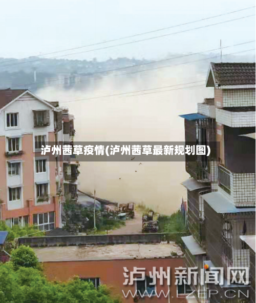 泸州茜草疫情(泸州茜草最新规划图)