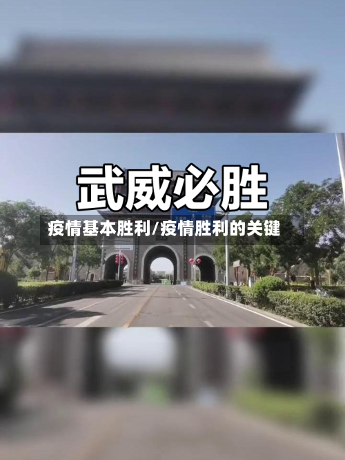 疫情基本胜利/疫情胜利的关键