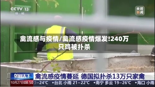 禽流感与疫情/禽流感疫情爆发!240万只鸡被扑杀