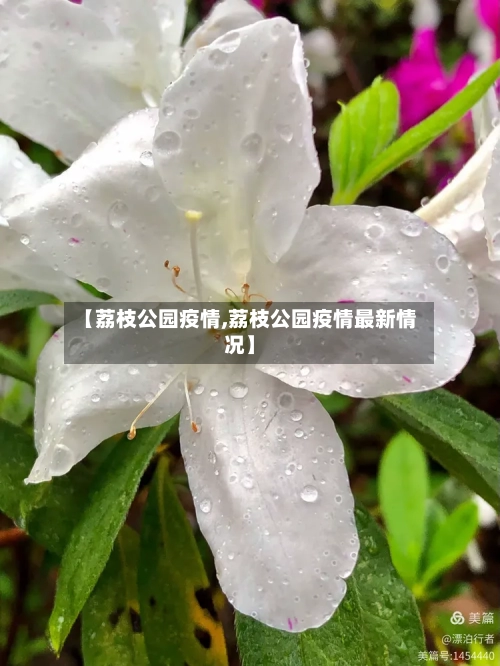 【荔枝公园疫情,荔枝公园疫情最新情况】