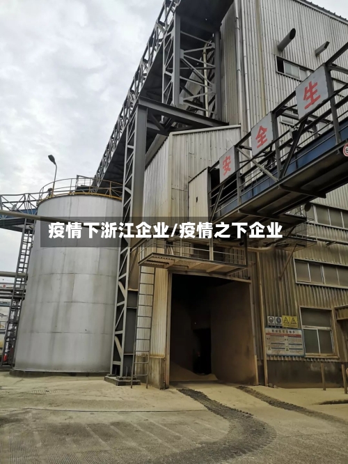 疫情下浙江企业/疫情之下企业