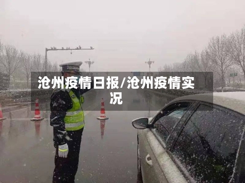 沧州疫情日报/沧州疫情实况-第2张图片