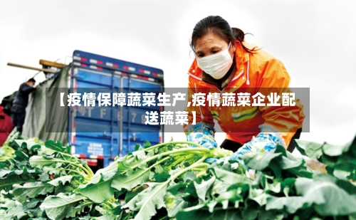 【疫情保障蔬菜生产,疫情蔬菜企业配送蔬菜】