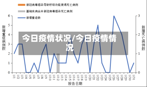 今日疫情状况/今日疫情情况