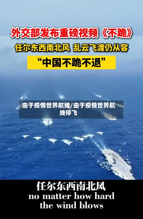 由于疫情世界航线/由于疫情世界航线停飞
