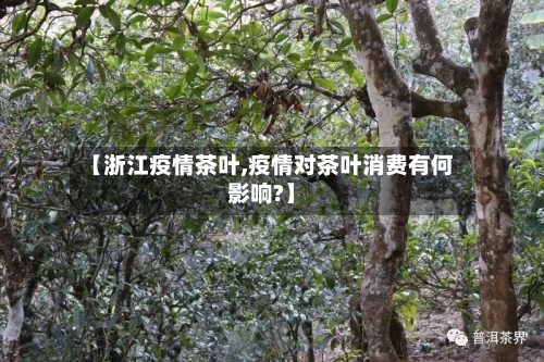 【浙江疫情茶叶,疫情对茶叶消费有何影响?】-第2张图片