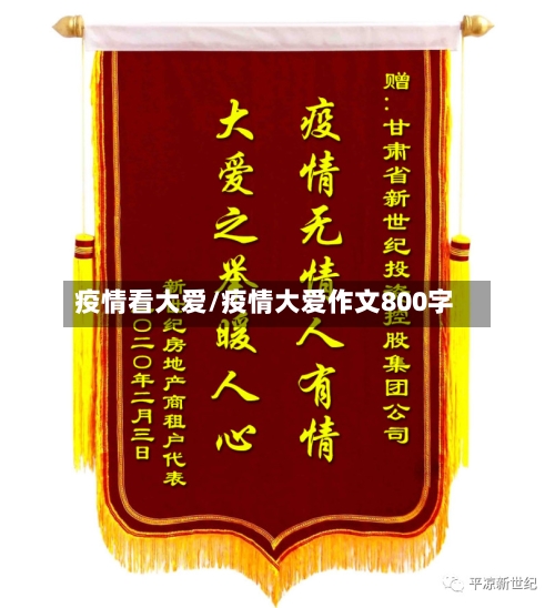 疫情看大爱/疫情大爱作文800字-第2张图片