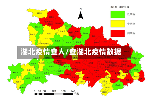 湖北疫情查人/查湖北疫情数据-第3张图片