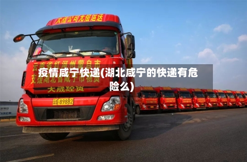 疫情咸宁快递(湖北咸宁的快递有危险么)