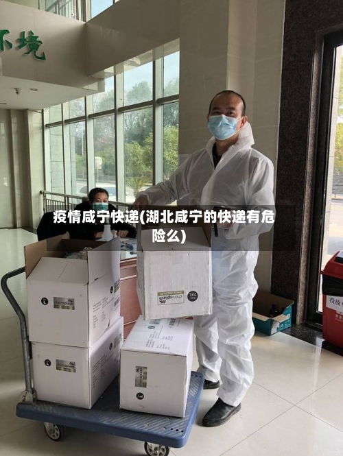 疫情咸宁快递(湖北咸宁的快递有危险么)-第2张图片