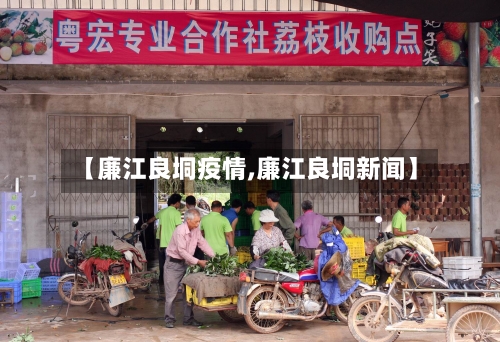 【廉江良垌疫情,廉江良垌新闻】-第3张图片