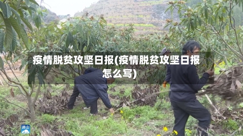 疫情脱贫攻坚日报(疫情脱贫攻坚日报怎么写)-第2张图片