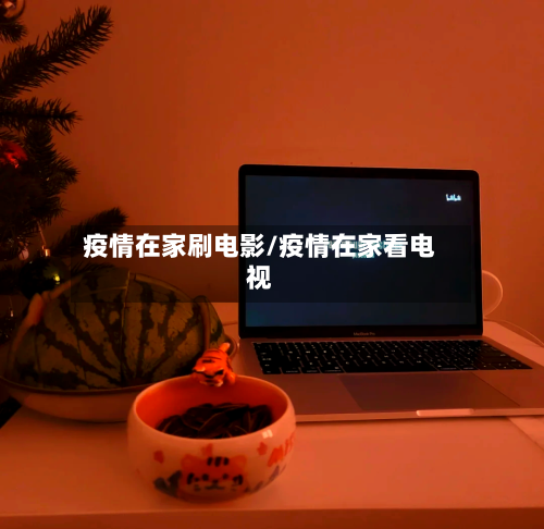 疫情在家刷电影/疫情在家看电视