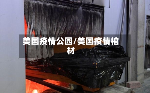 美国疫情公园/美国疫情棺材-第3张图片