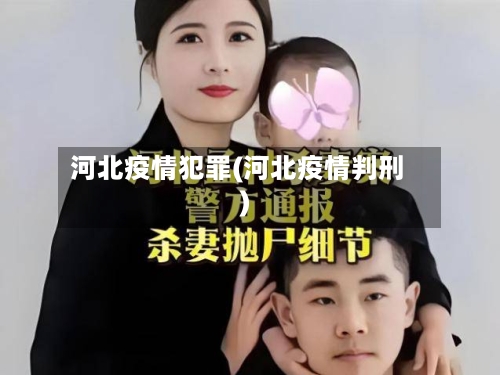 河北疫情犯罪(河北疫情判刑)