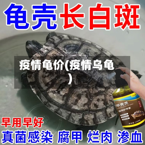 疫情龟价(疫情乌龟)-第2张图片