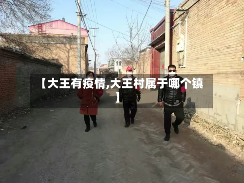 【大王有疫情,大王村属于哪个镇】-第2张图片