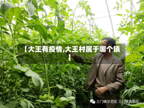 【大王有疫情,大王村属于哪个镇】-第3张图片