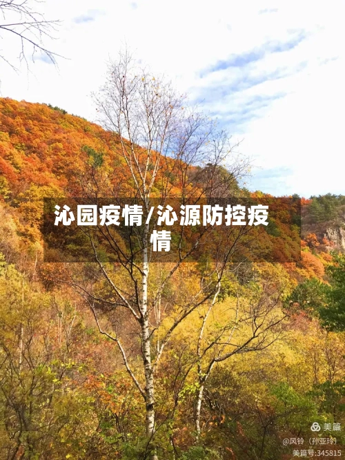 沁园疫情/沁源防控疫情-第2张图片